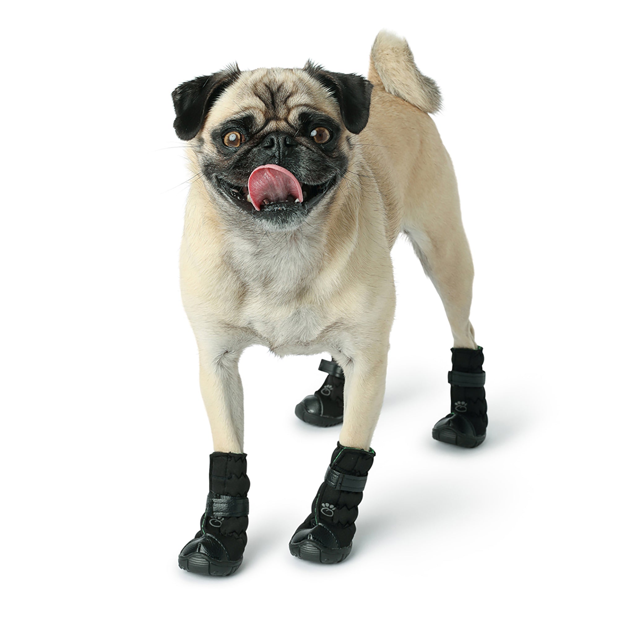 Elasto-Fit Dog Boots - Black-1