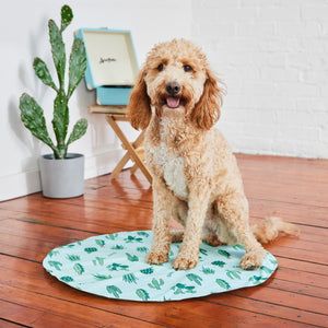 GF Pet Ice Mat-4