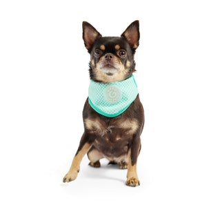 ICE BAND - Dog Cooling Bandana - Aqua-3