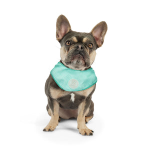 ICE BAND - Dog Cooling Bandana - Aqua-4