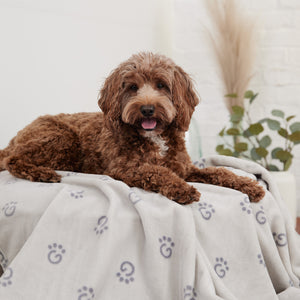 GF Pet Logo Blanket-1