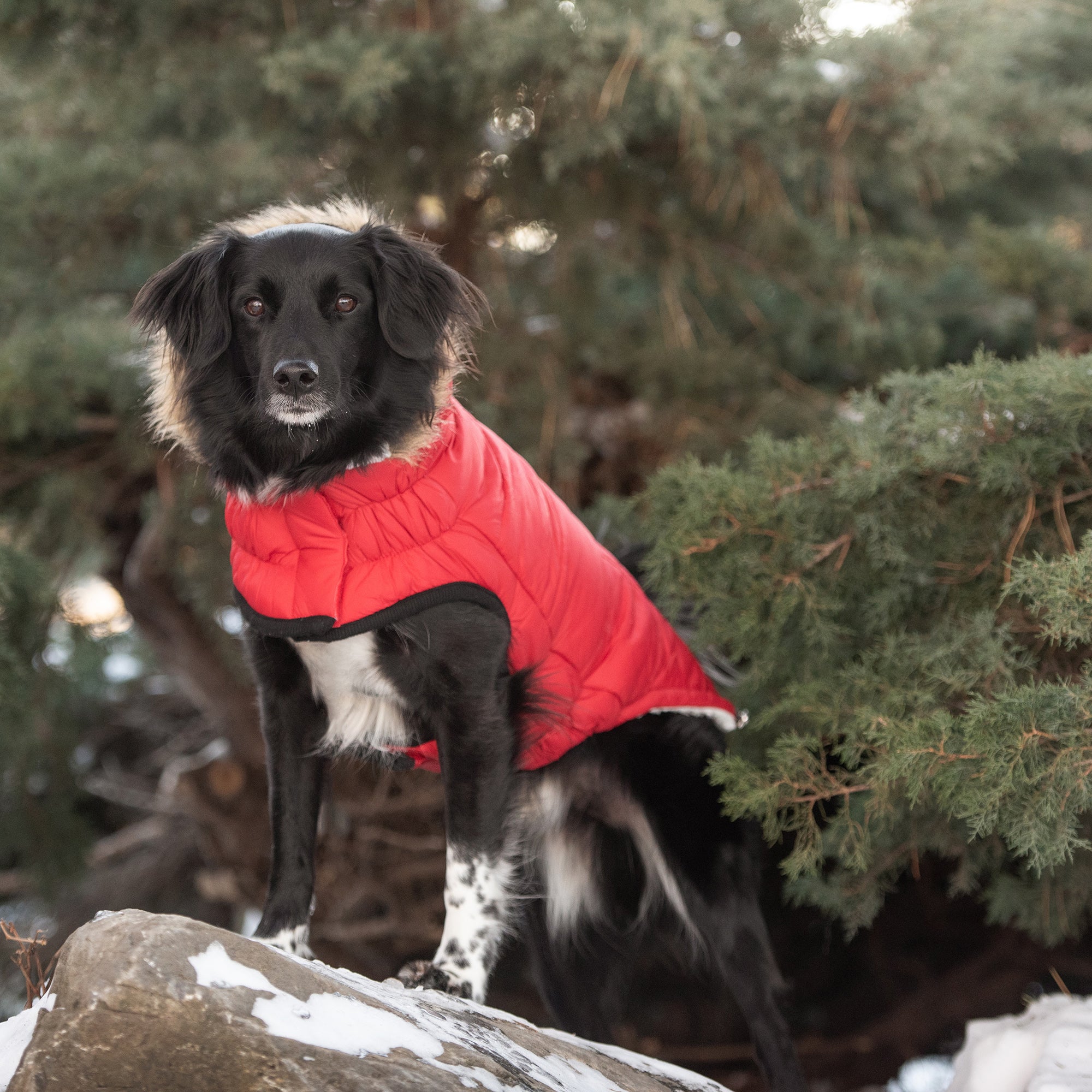 Urban Parka - Red-2