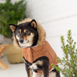 Urban Parka - Caramel-4