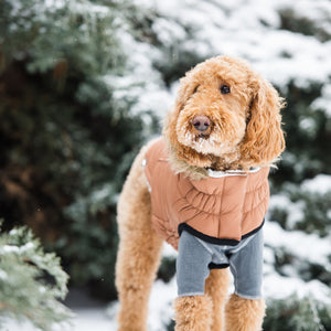 Urban Parka - Caramel-3