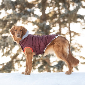 Winter Sailor Parka - Burgundy-4