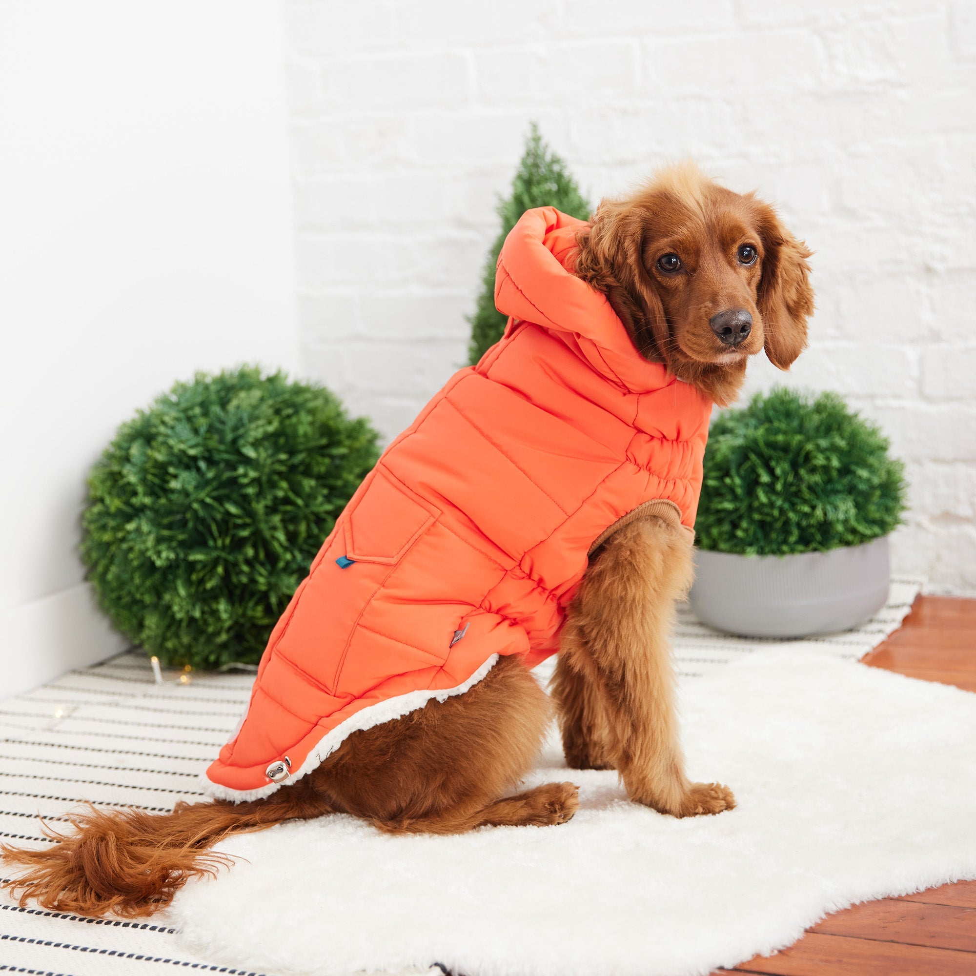 The Puff Parka - Orange-3