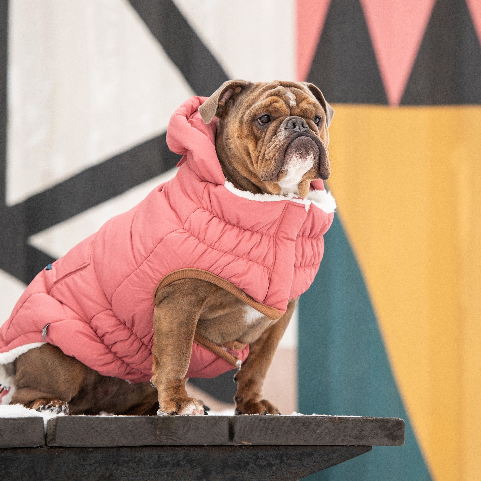 The Puff Parka - Pink-4