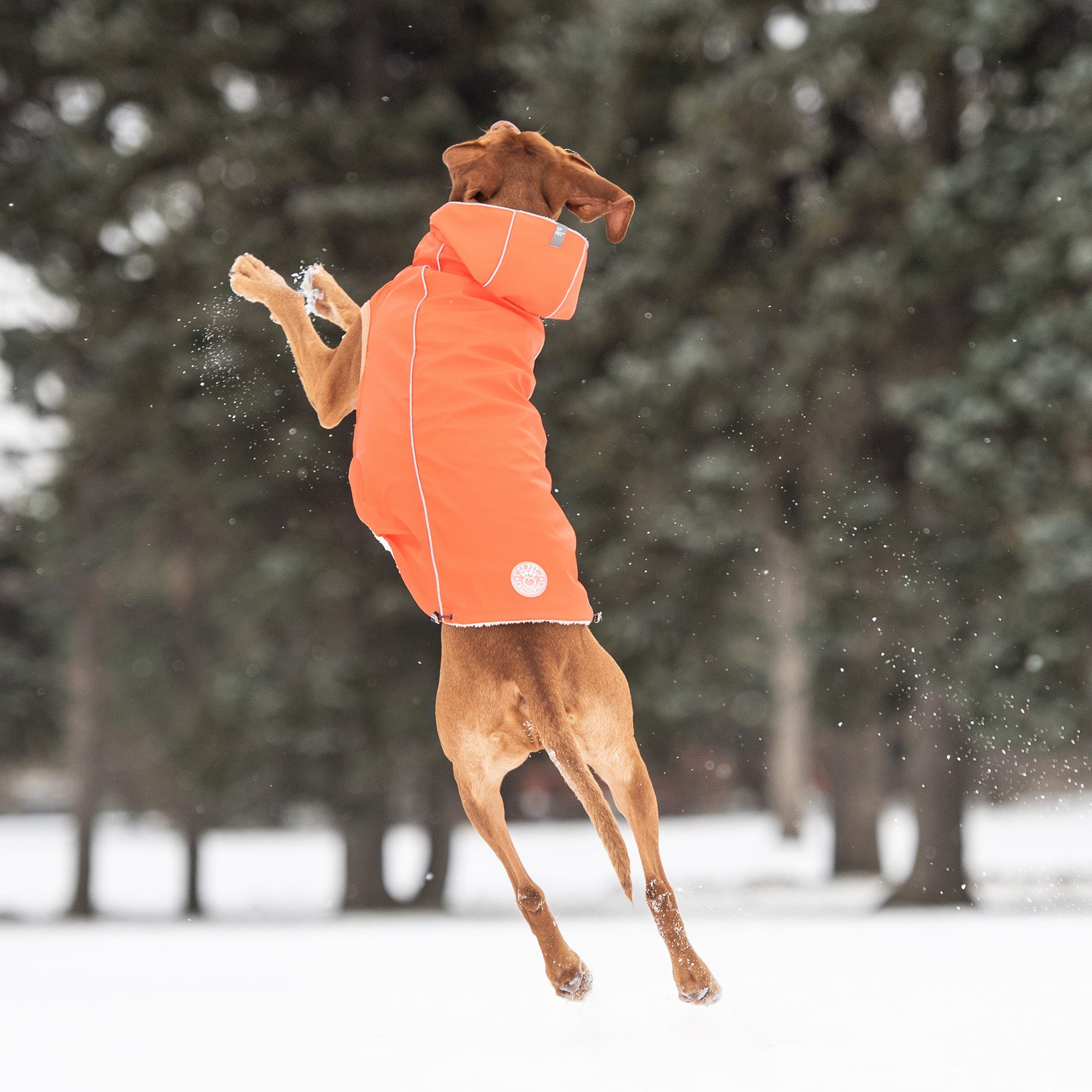 Insulated Raincoat - Orange-4