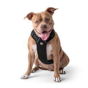 Travel Harness - Black-0