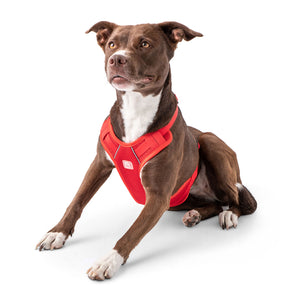 Travel Harness - Red-1