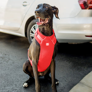 Travel Harness - Red-4