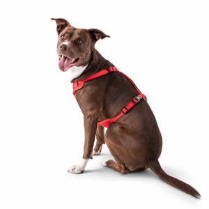 Travel Harness - Red-0