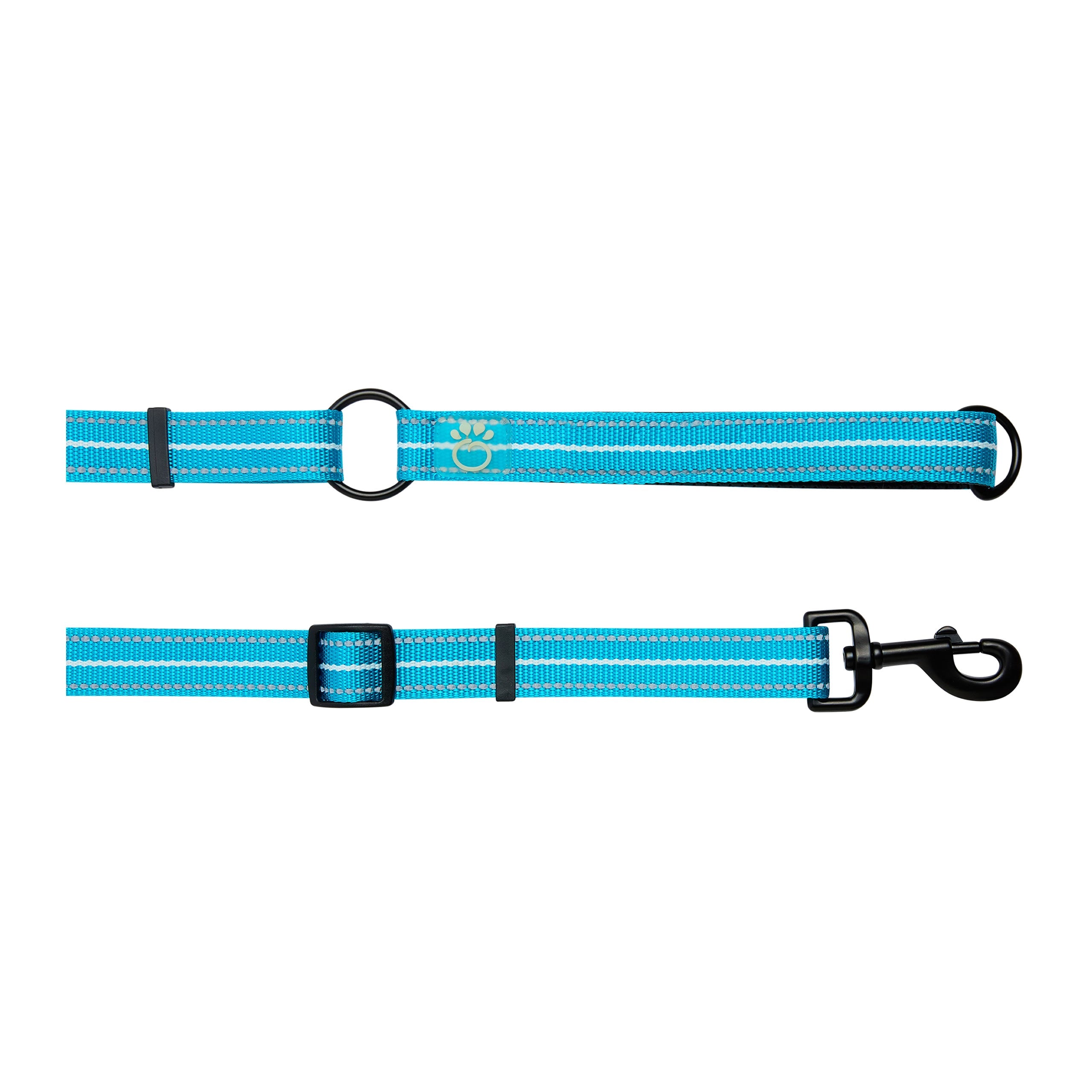 Reflective Leash - EEZY-6 - Neon Blue-0