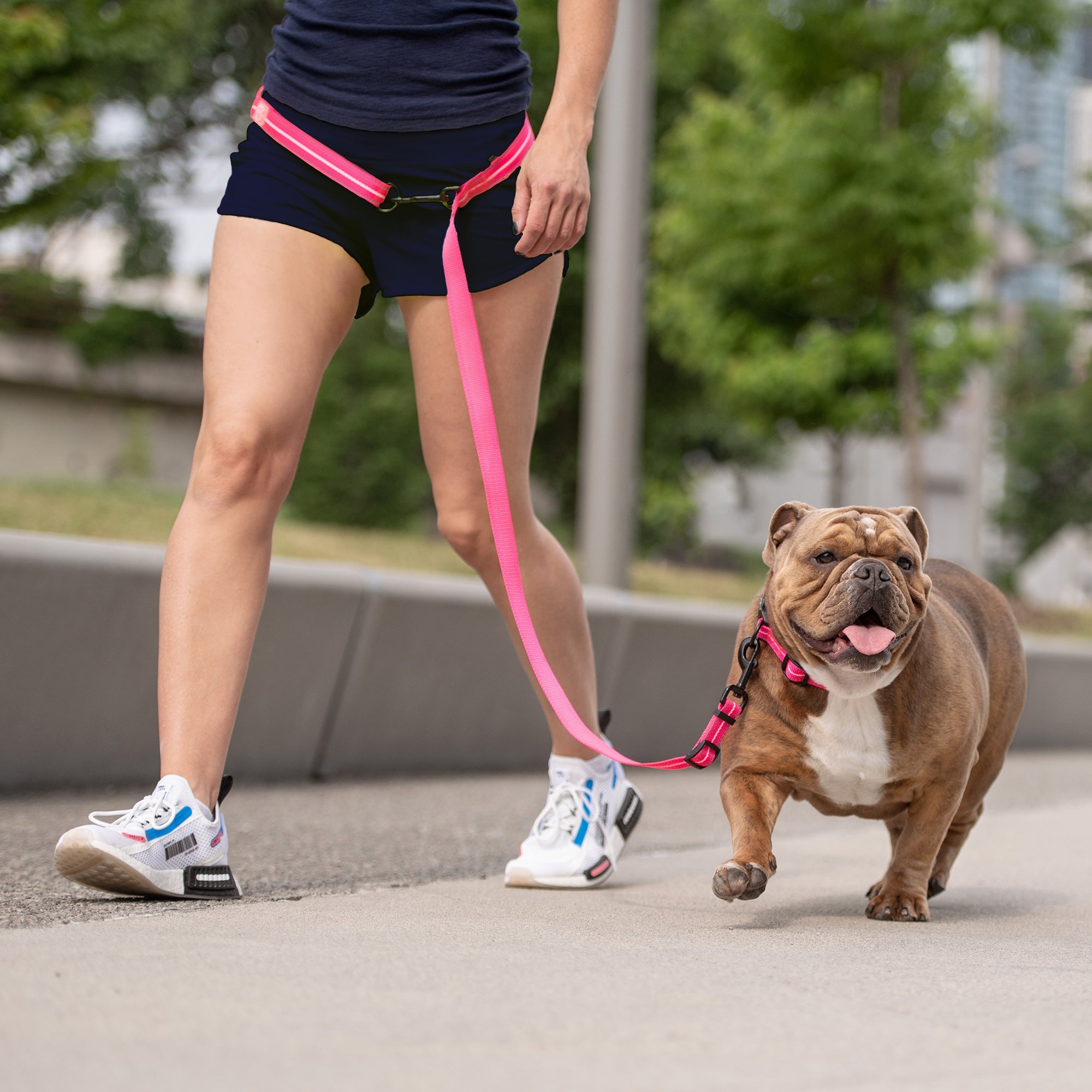 Reflective Leash - EEZY-6 - Neon Pink-1