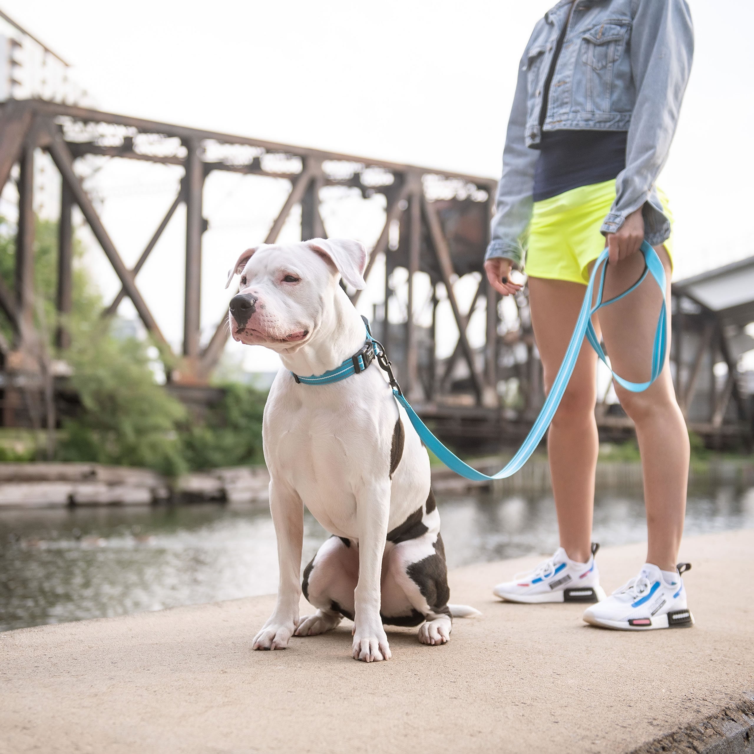 Reflective Leash - Neon Blue-1