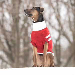 Trekking Sweater - Red-4