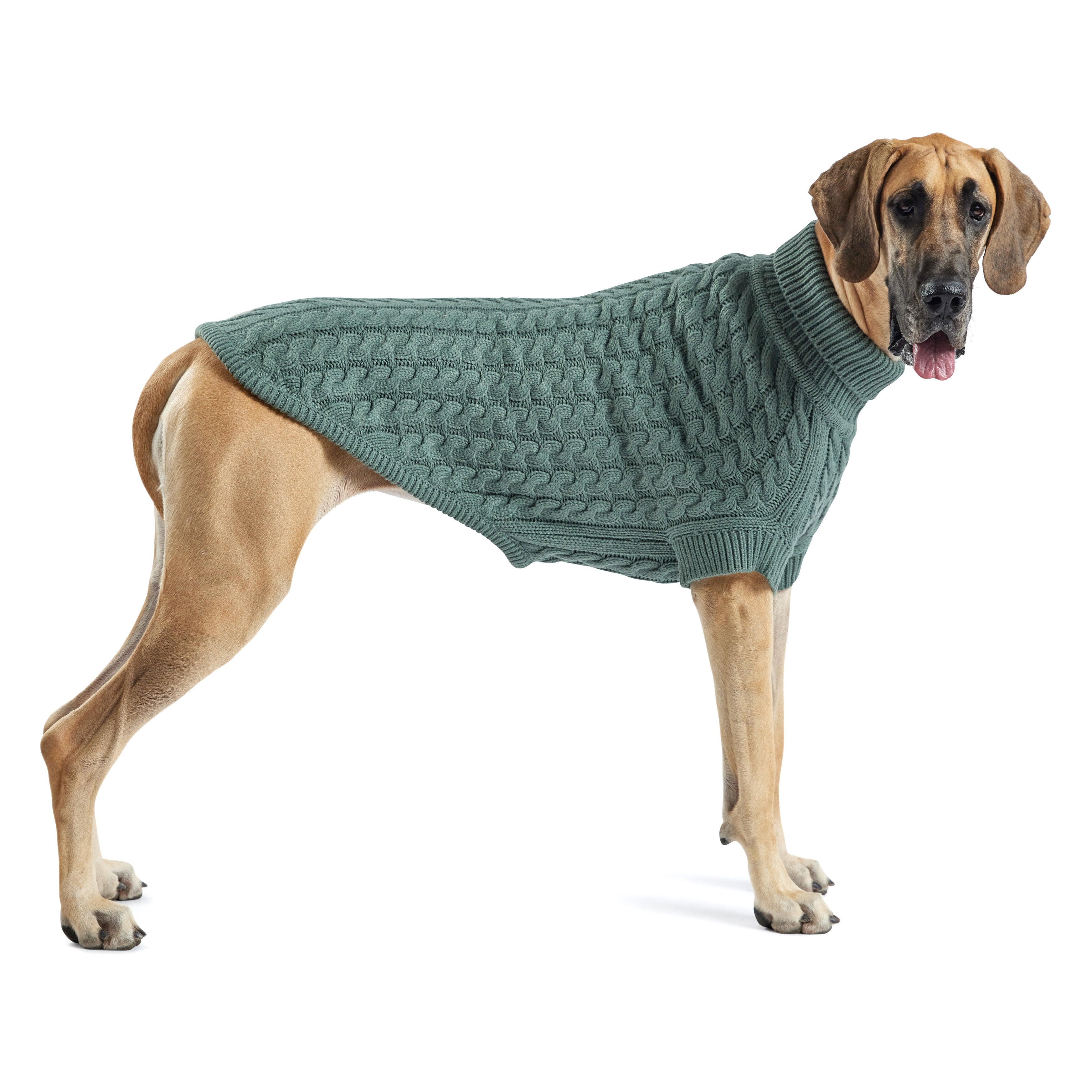 Chalet Sweater - Sage-3