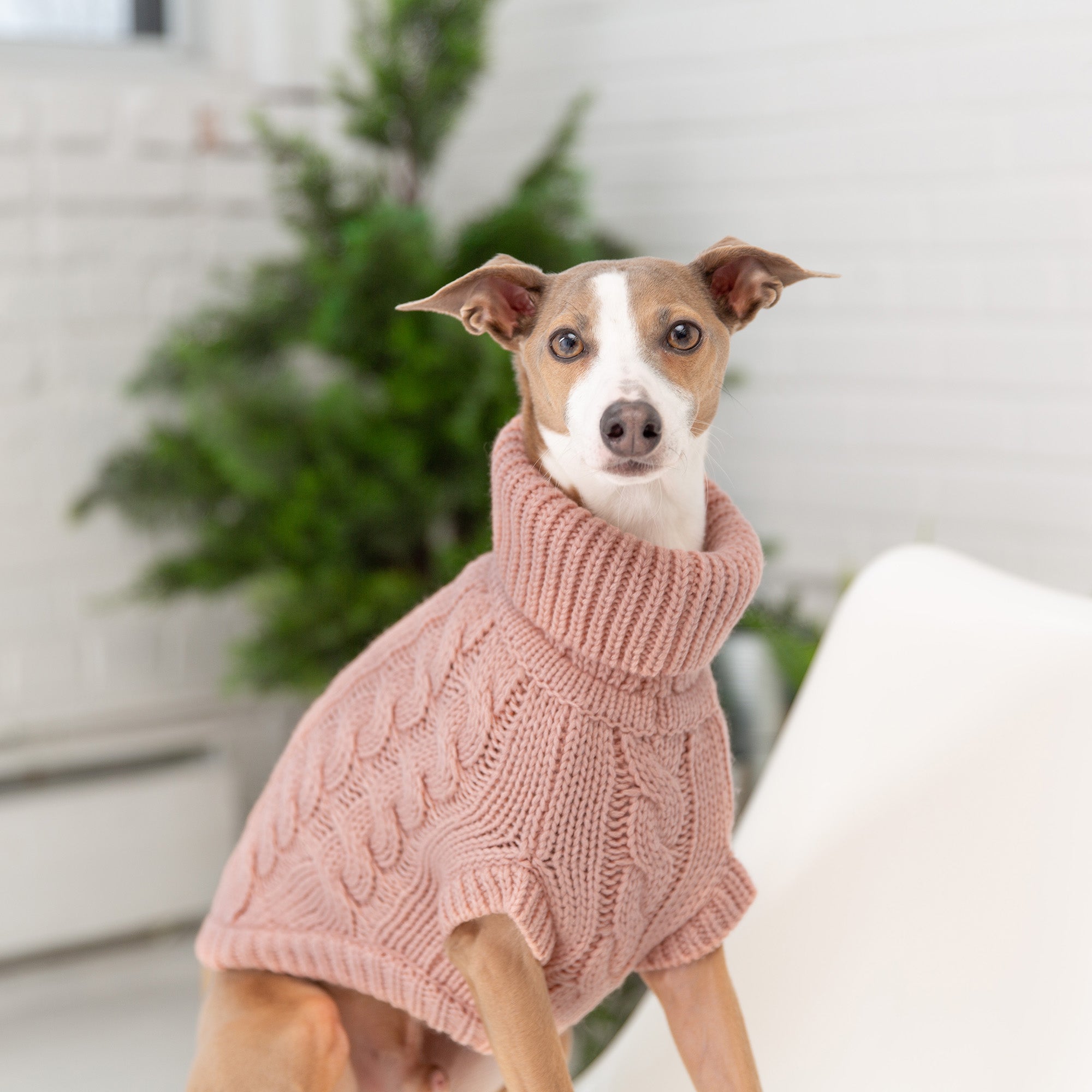 Chalet Sweater - Pink-3