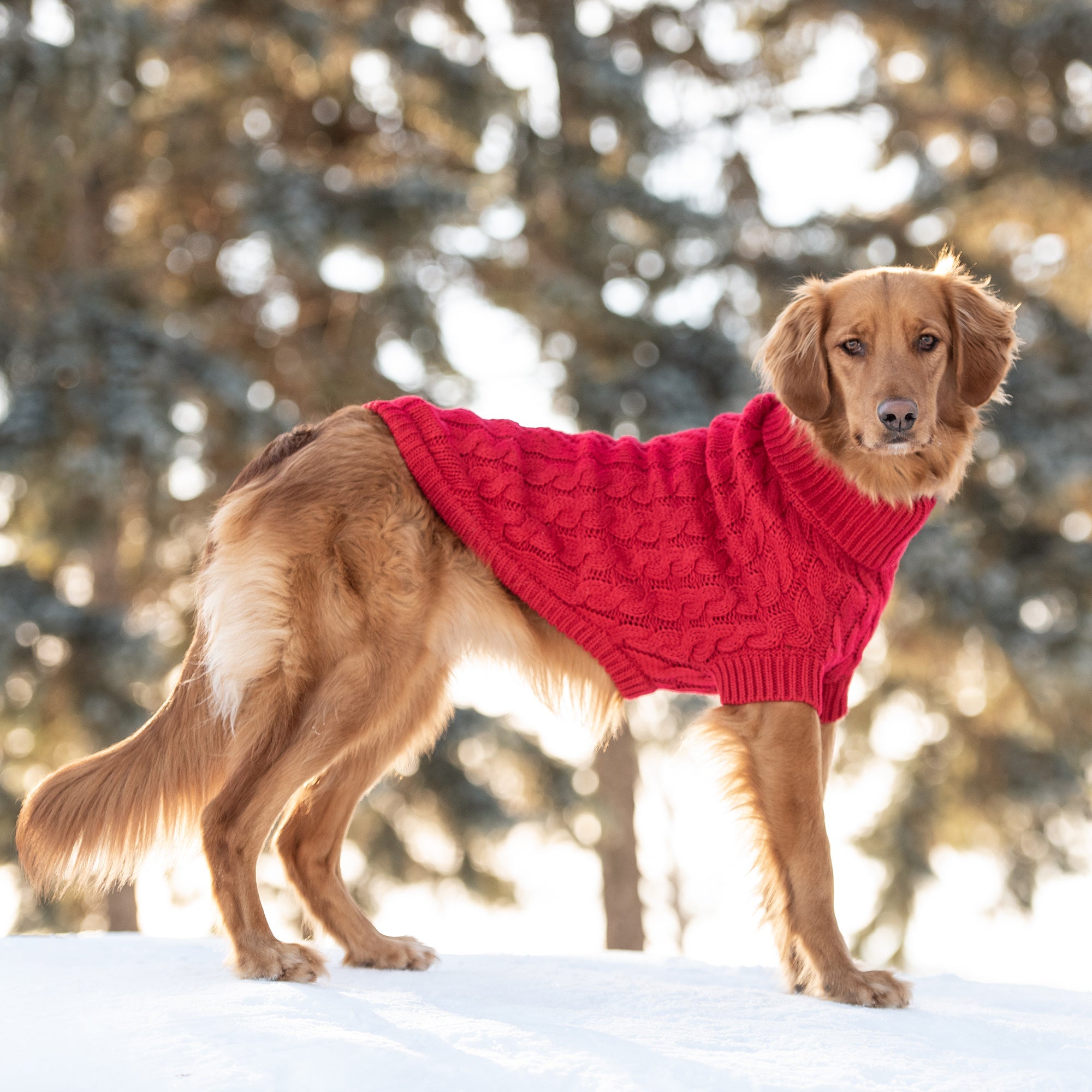 Chalet Sweater - Red-4