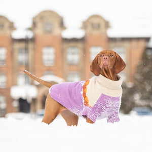 Fireside Sweater - Purple-4