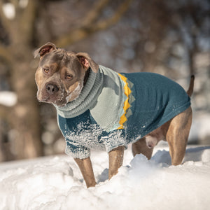 Fireside Sweater - Teal-4