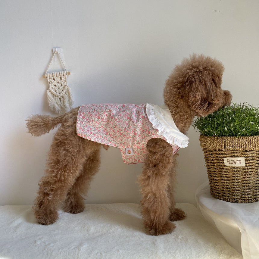 Floral Bohemian Dog Dress-3