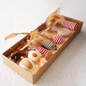 Luxury Cat Toy Box-6