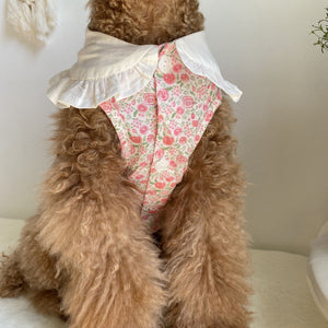 Floral Bohemian Dog Dress-1