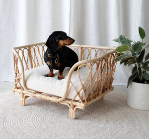 The Saski Rattan Dog Bed - Pre Order-3