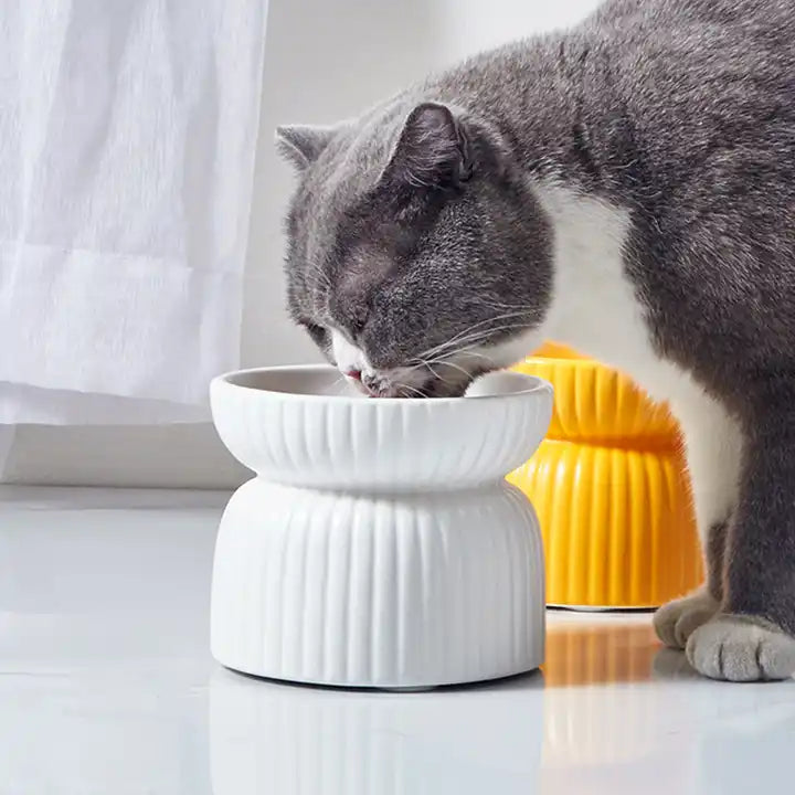 Pre Order - HOPD Ribbed Elevated Ceramic Cat Bowl in White-1