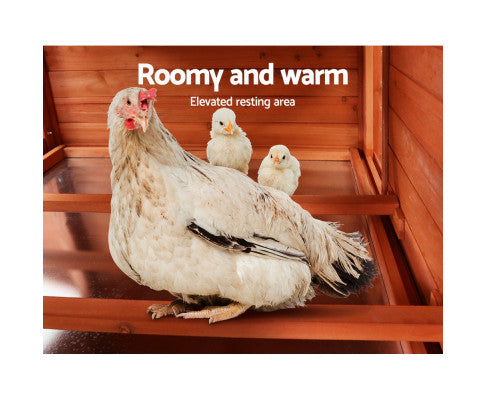 XL Pet Chicken Rabbit Hutch with Large Run-5