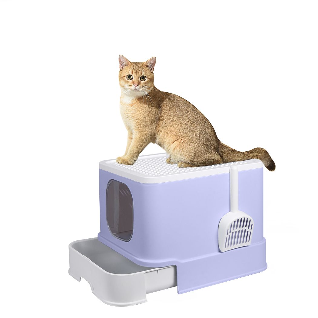 Fully Enclosed Kitty Toilet Basin in Purple-1