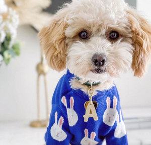 Rabbit Print Dog Sweater - Blue-3