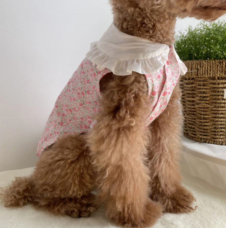 Floral Bohemian Dog Dress-2