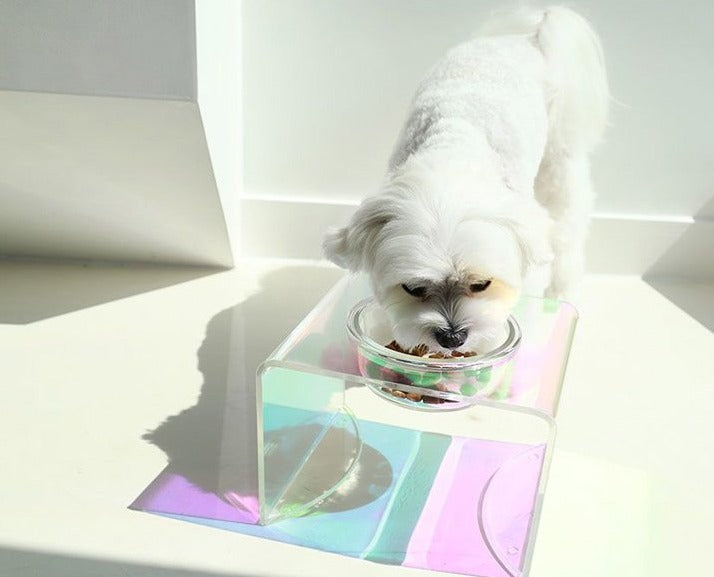 The Holographic Aurora Elevated Pet Feeding Table (PREORDER)-6