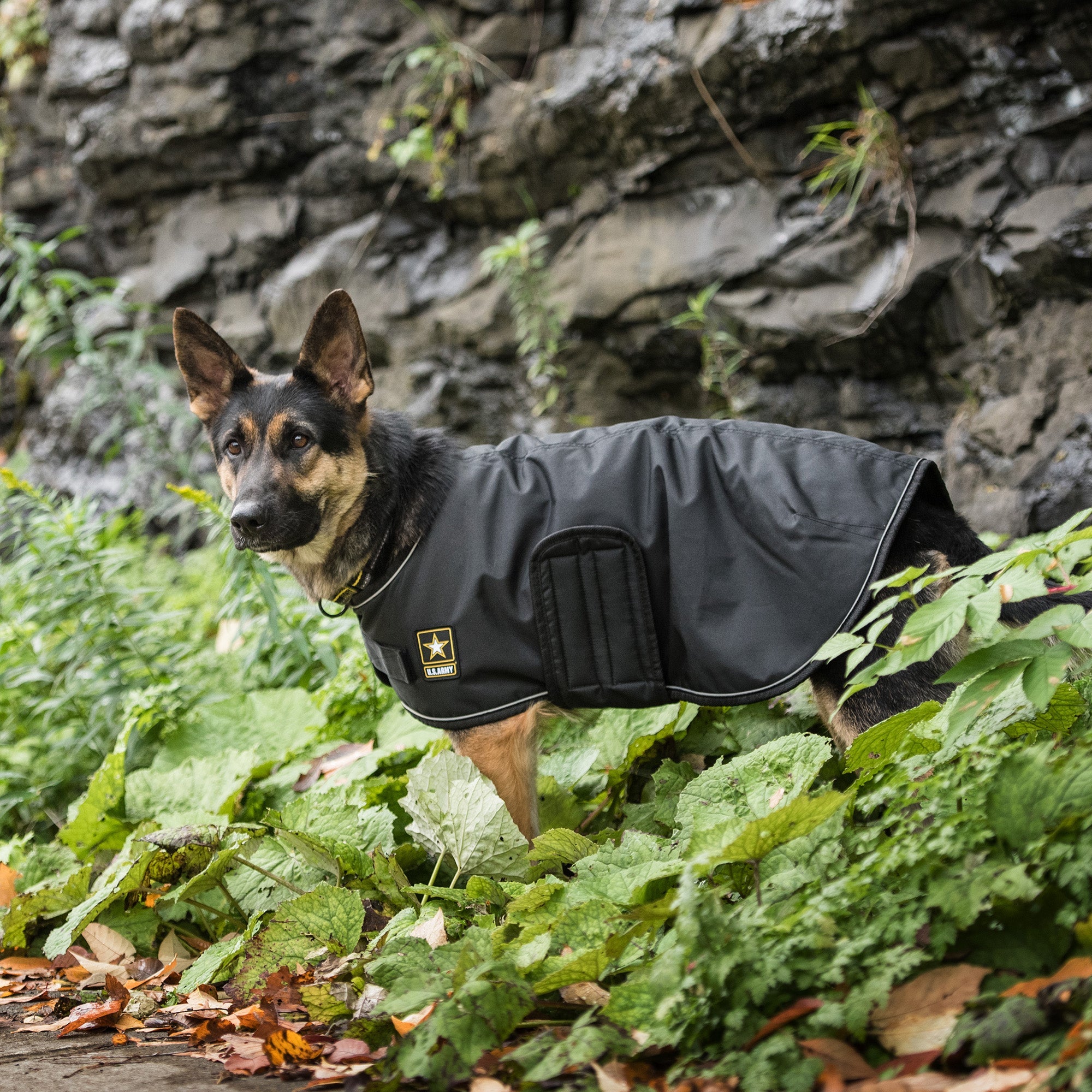 US Army Dog Blanket Jacket - Black-2