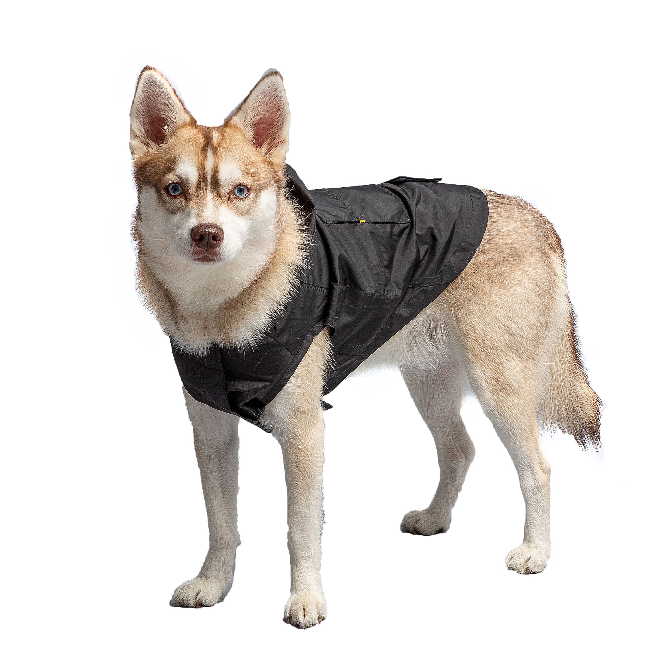 US Army Packable Dog Raincoat - Black-1