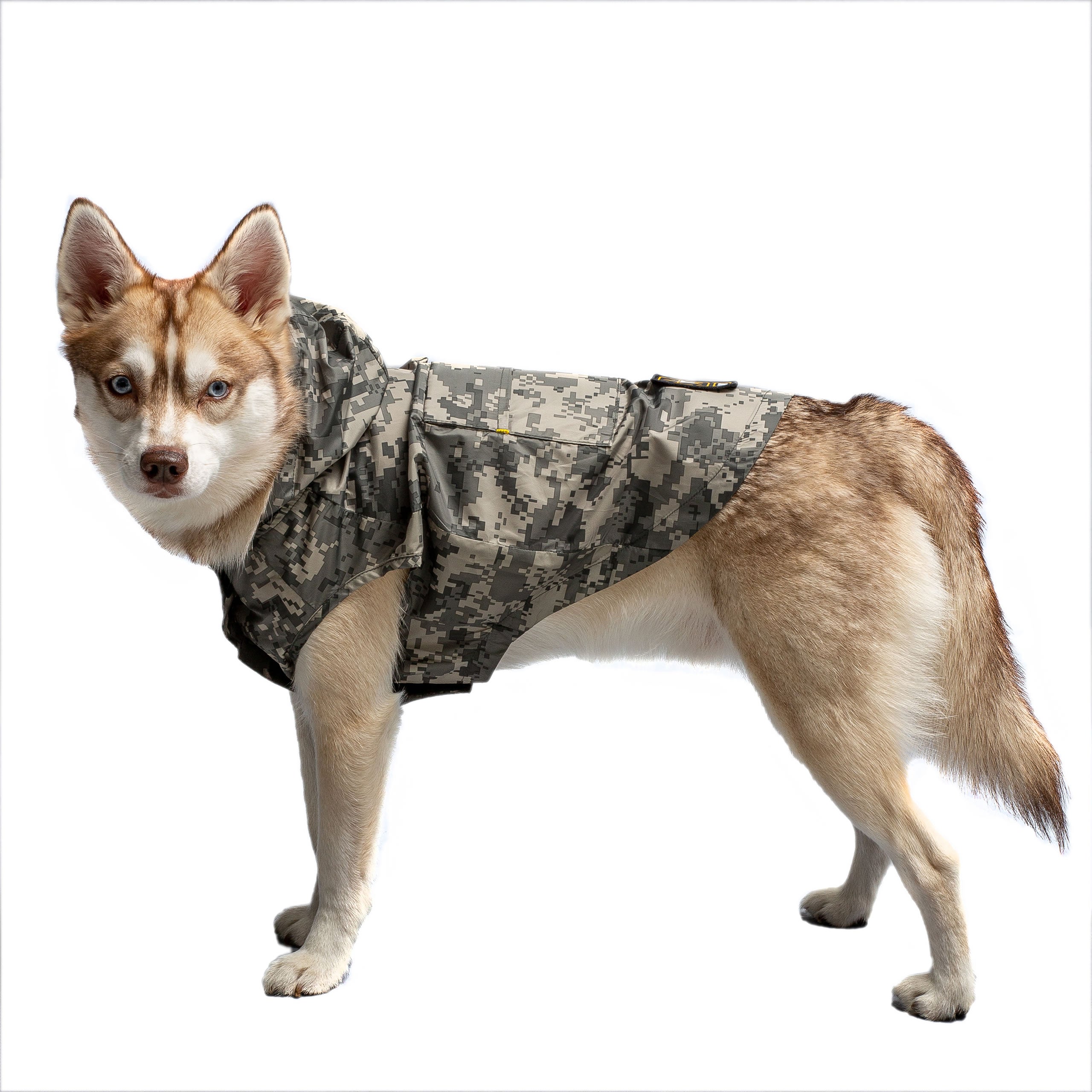 US Army Packable Dog Raincoat - Camo-1