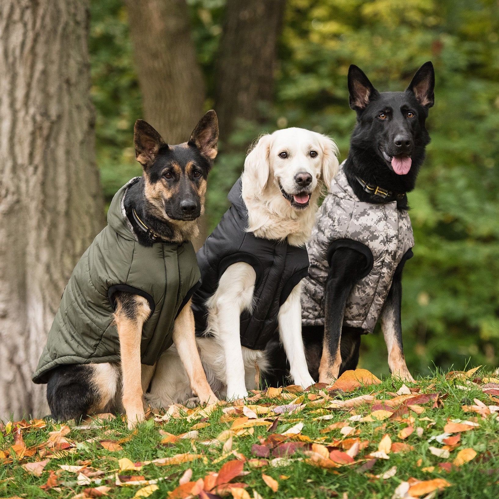 US Army Dog Parka - Dark Camo-2