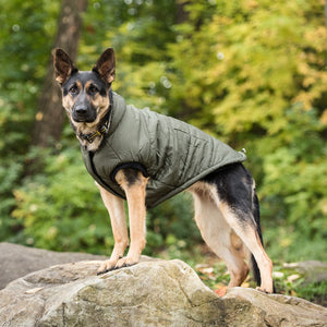 US Army Dog Parka - Dark Camo-1