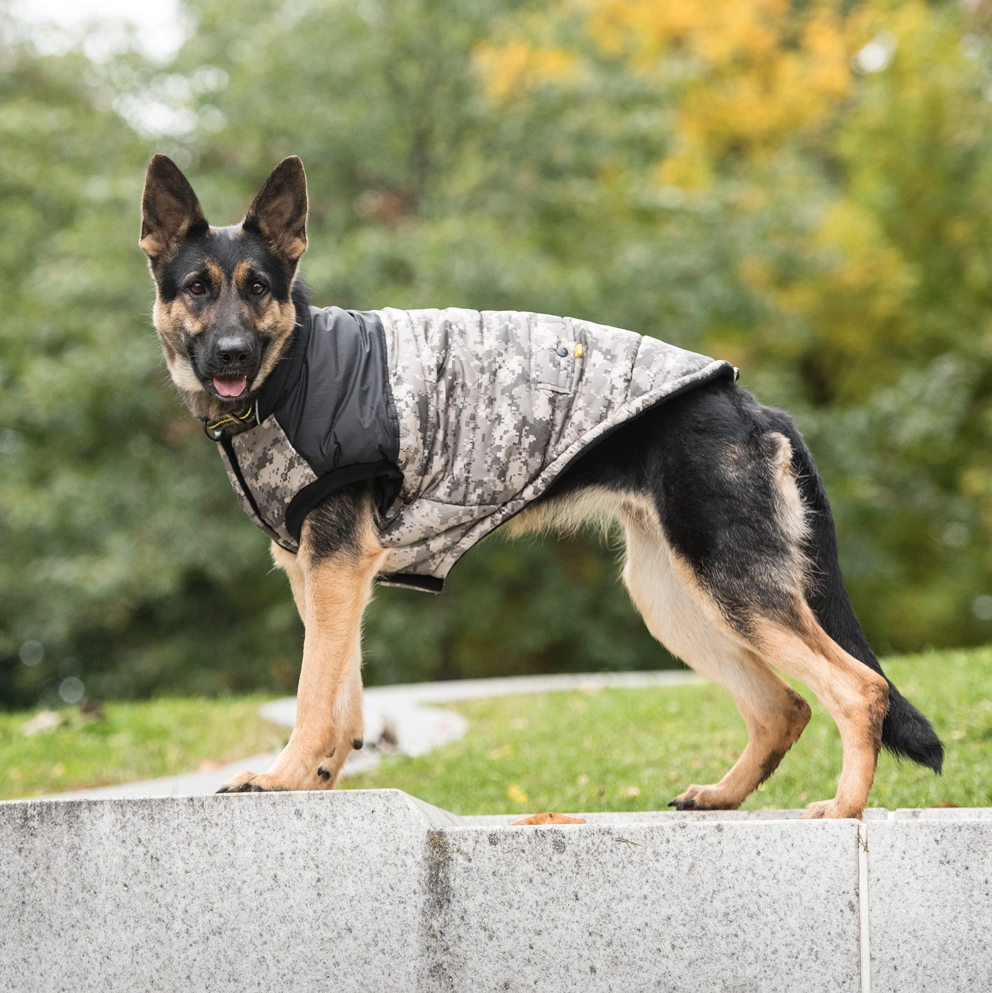 US Army Dog Jacket - Camo-1