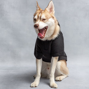 US Army Hooded Dog Fleece - Black-2