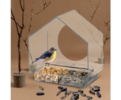 Window Bird Feeder-1