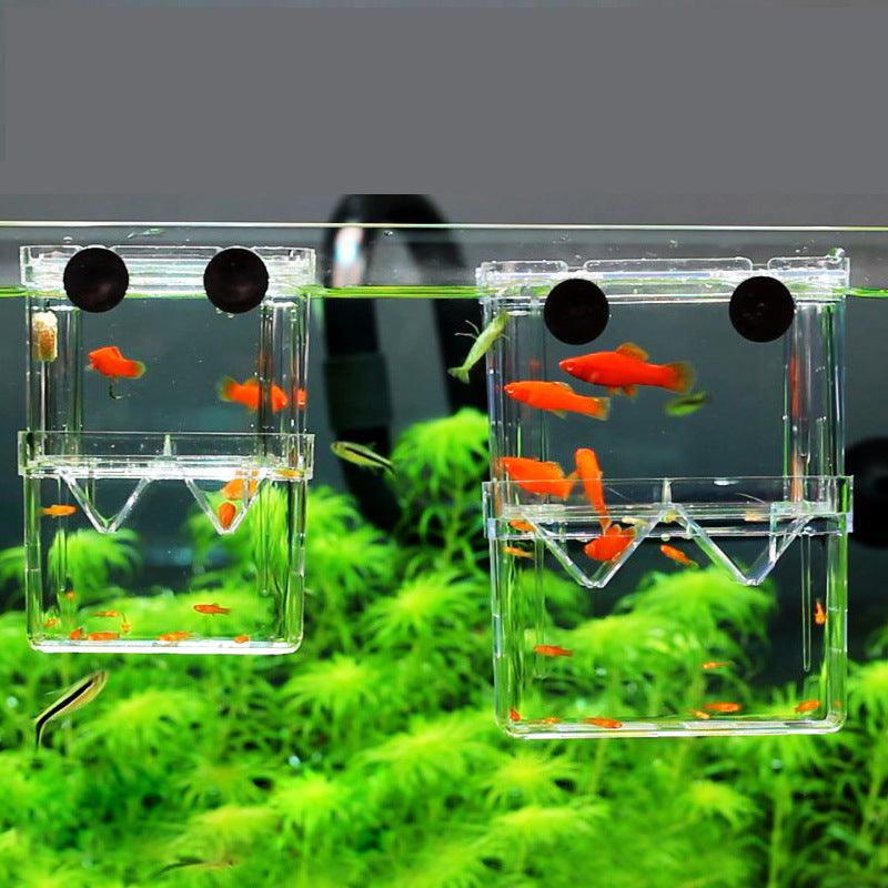 Acrylic Fish Hatchery: A Transparent Sanctuary For Juvenile Fish-1