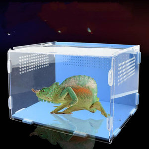 Acrylic Reptile Feeding Habitat - Transparent Thermal Box-3