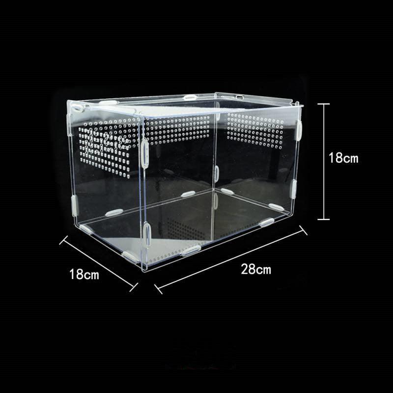 Acrylic Reptile Feeding Habitat - Transparent Thermal Box-6