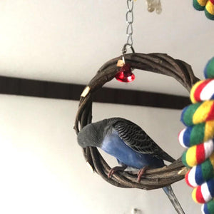 Rattan Ring Bird Cage Chewing Toy With Standing Frame - Natural Apple Branch Braided Ring For Birds-9