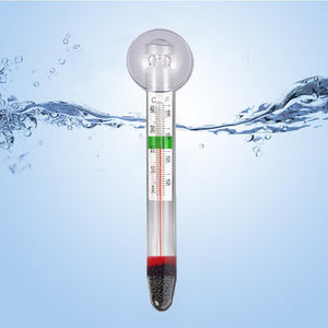 Aquatic Comfort Floating Thermometer-4