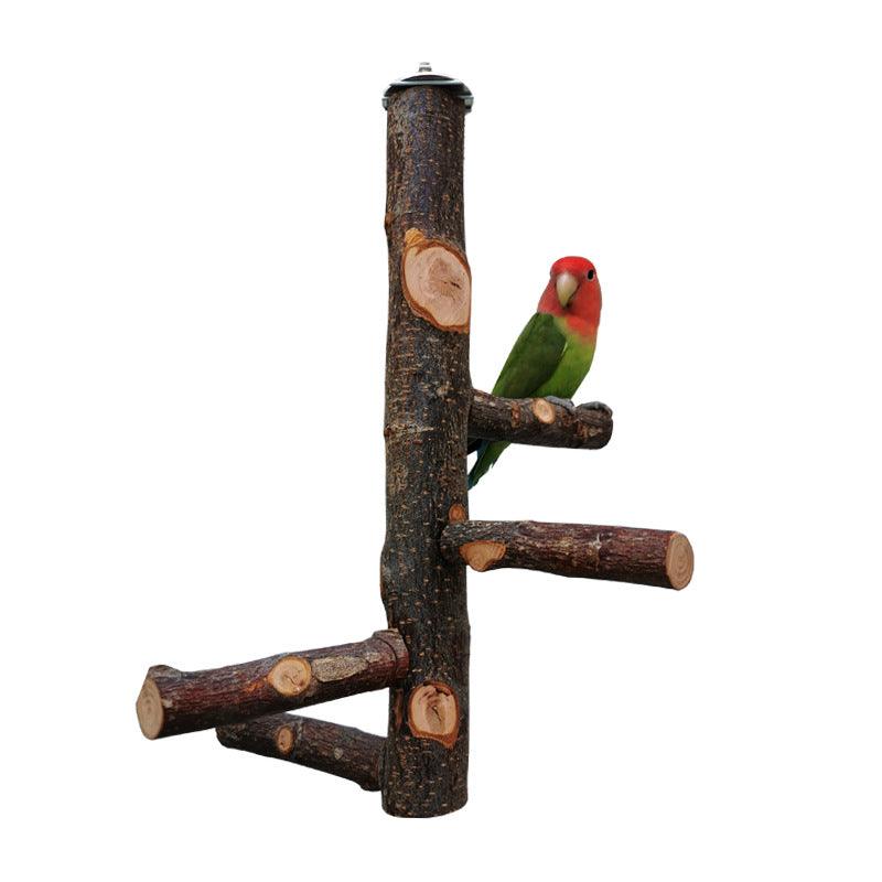 Simple And Stylish Apple Wood Parrot Bird Stand-5