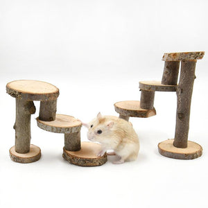 Wooden Apple Wood Hamster Climbing Ladder Toy-4